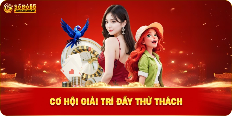 Cơ Hội Giải Trí Đầy Thử Thách và Ưu Đãi