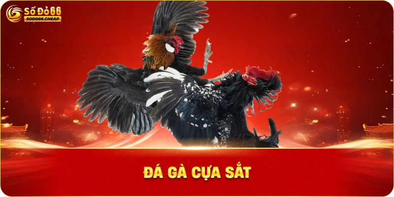 Đá gà cựa sắt – Nguồn gốc và sự phát triển tại châu Á